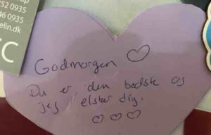 Hjertebseked